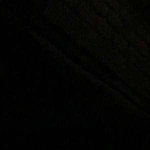 Meet your Posher, Bailey